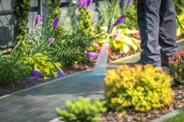 Reliable Caldwell, ID Pressure Washing Services Solutions
